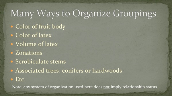 Slide08