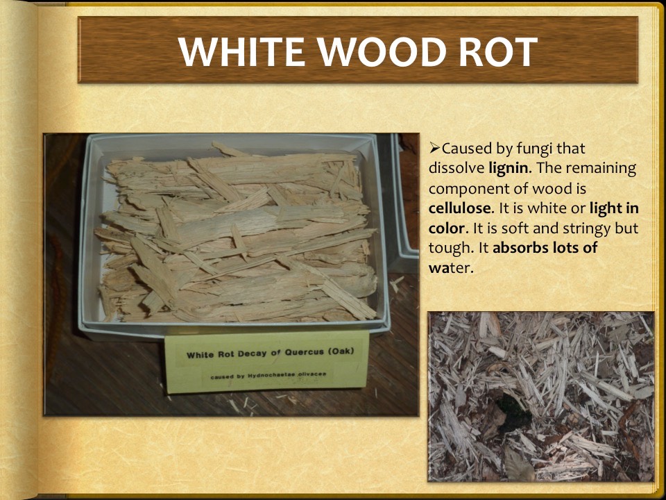 Slide08