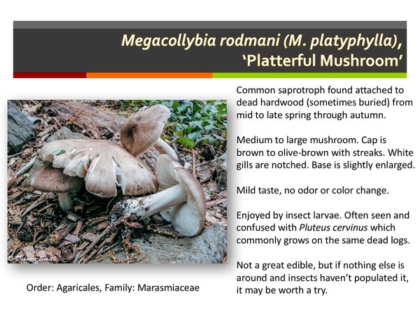 Slide081