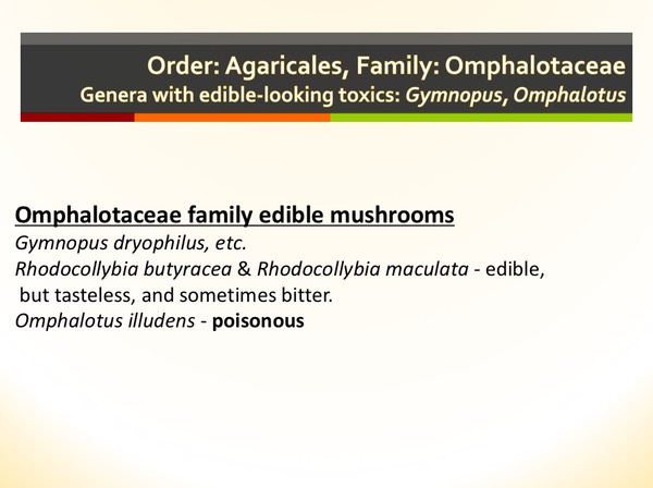Slide085