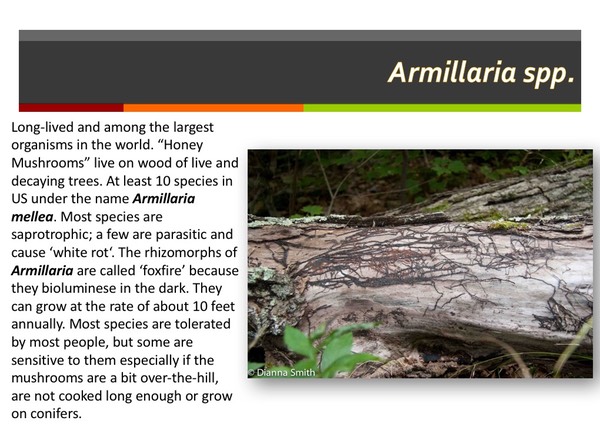 Slide088