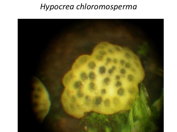 Slide088