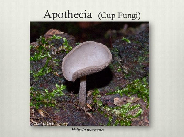 Slide09