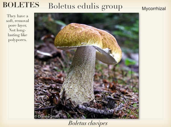 Slide090