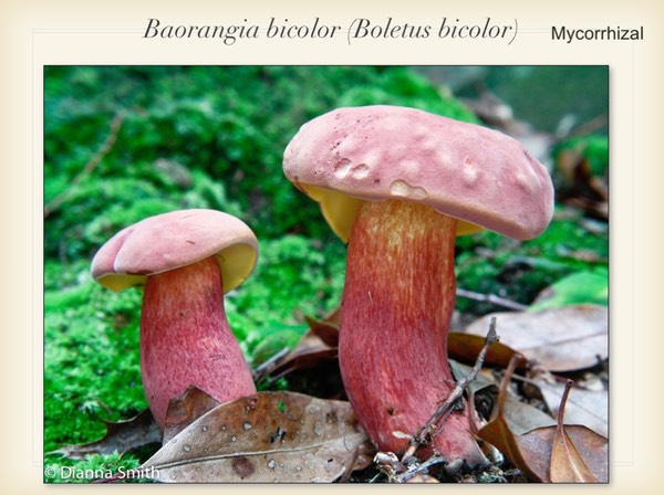 Slide092