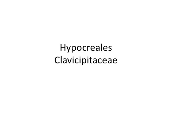 Slide092