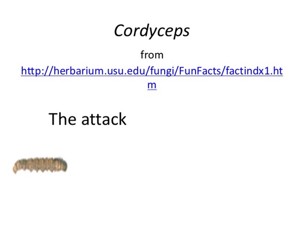 Slide094