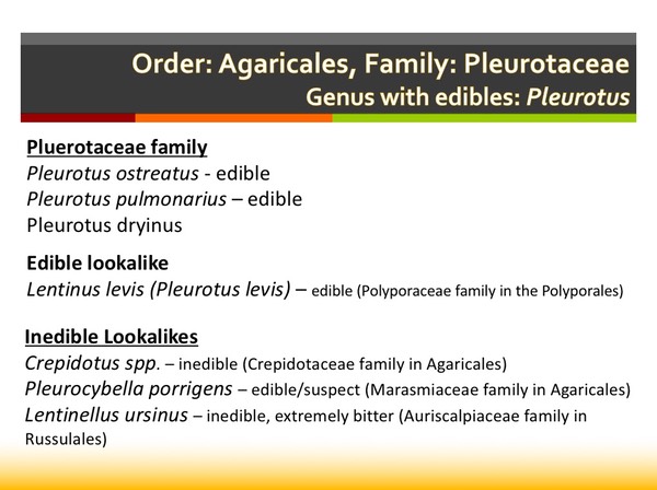 Slide096