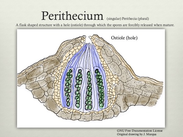 Slide10