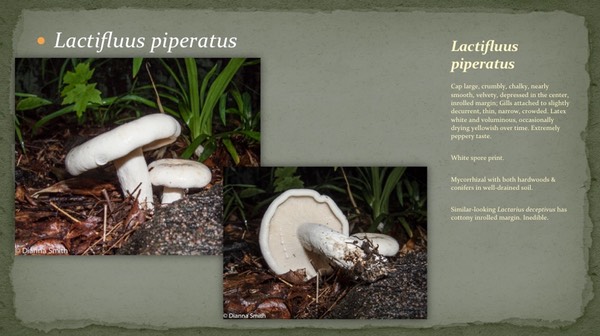 Slide10