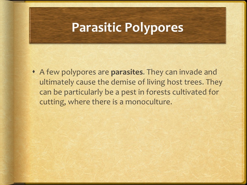 Slide10