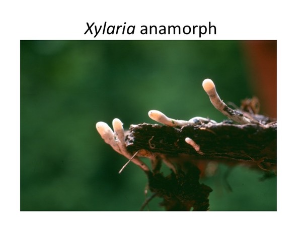 Slide103