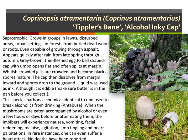 Slide106