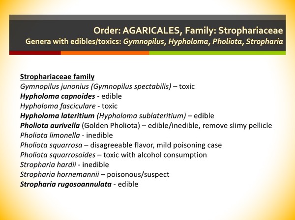 Slide108