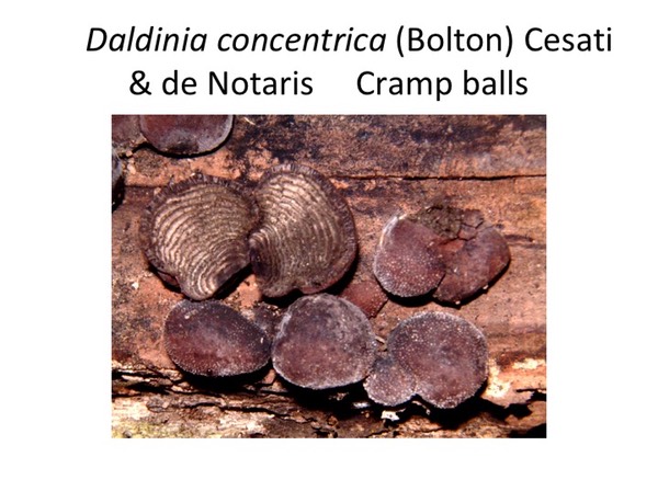 Slide109