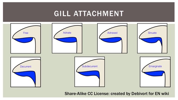 Slide10