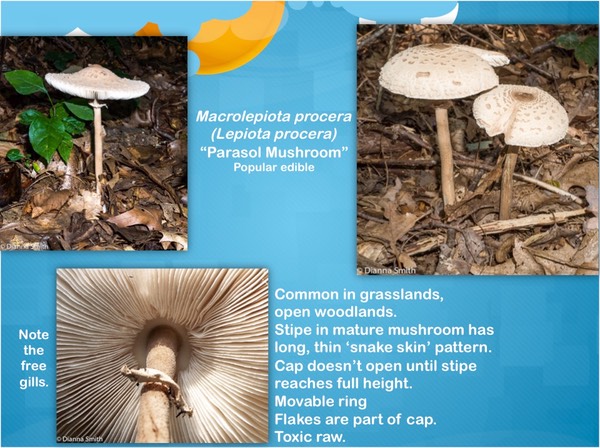 Slide11
