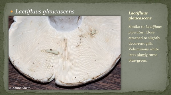 Slide11