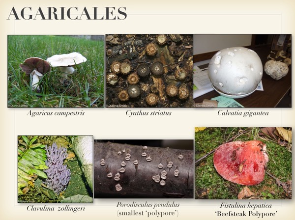 Slide110