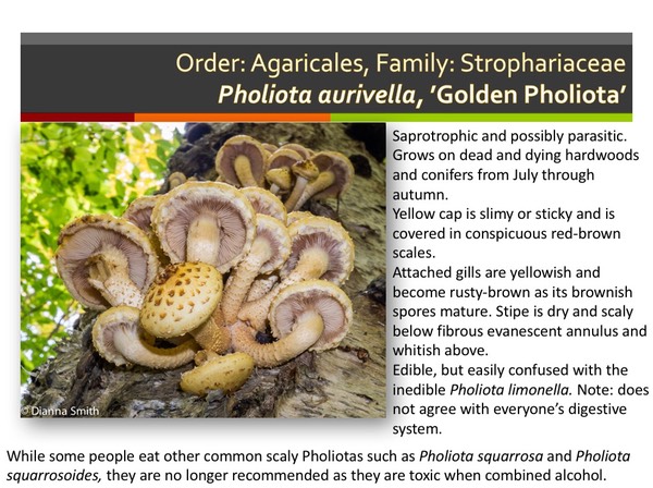 Slide110