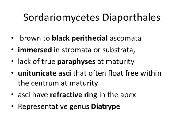 Slide110