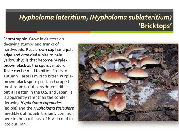Slide111