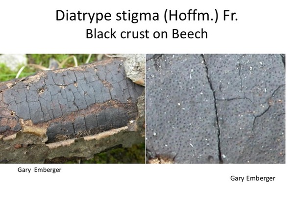 Slide111