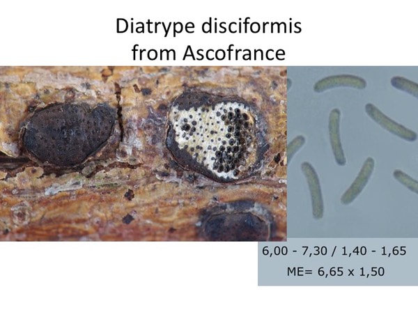 Slide112