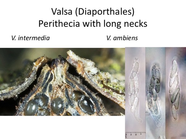 Slide113