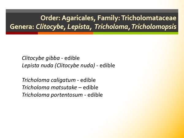 Slide114