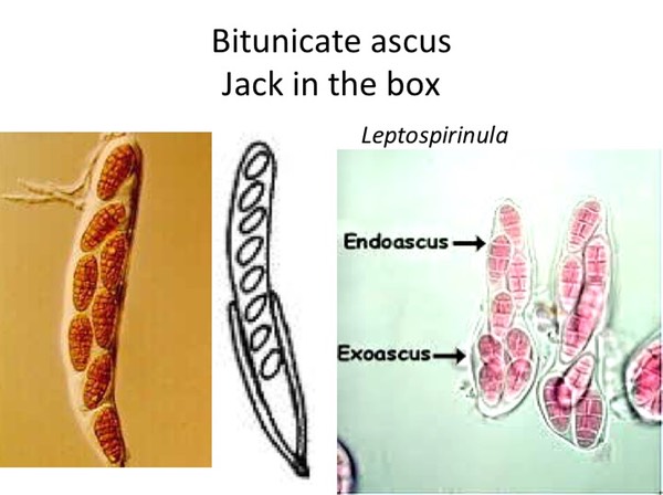 Slide114