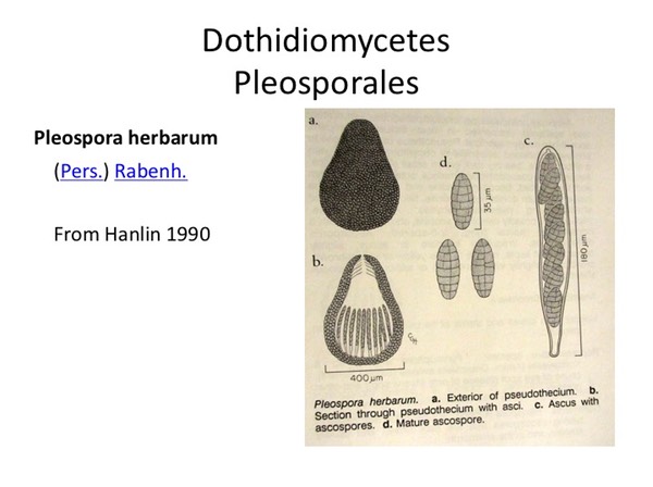 Slide115