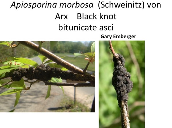 Slide116