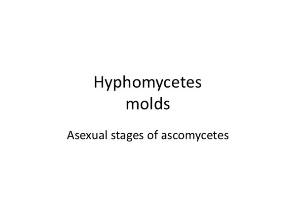 Slide117