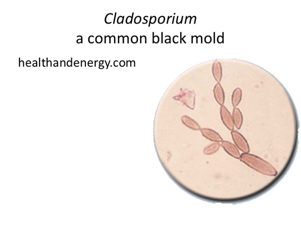 Slide118