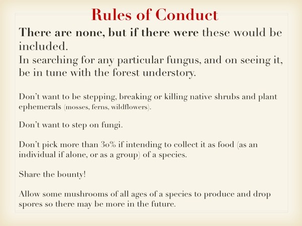 Slide119