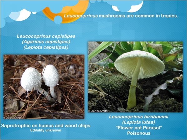 Slide12