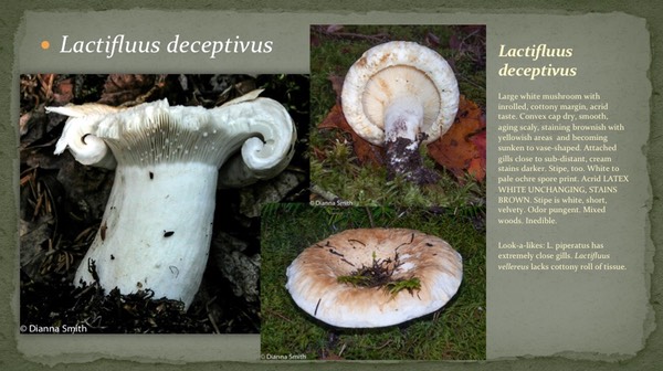 Slide12