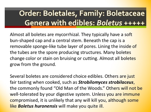 Slide120