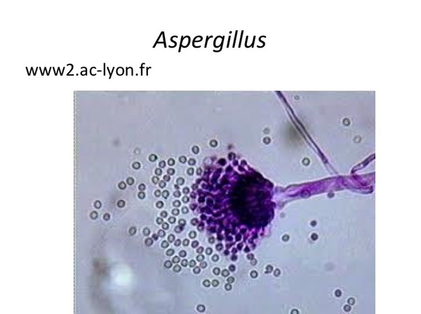 Slide120