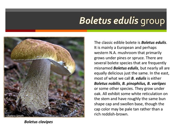 Slide121