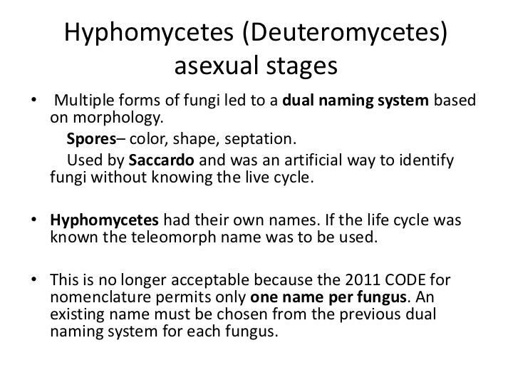 Slide121