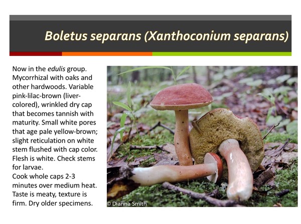 Slide122
