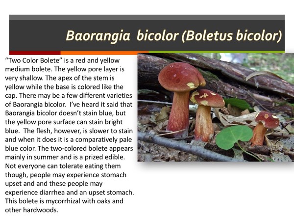 Slide123