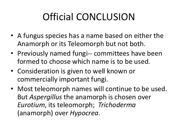 Slide124