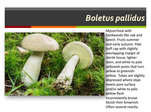 Slide124