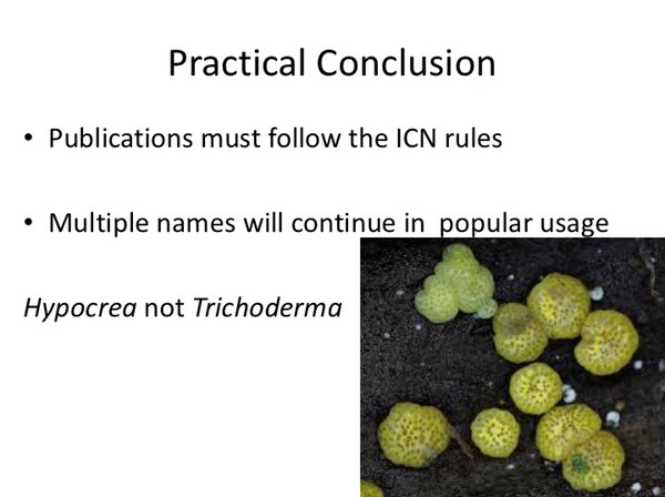 Slide125