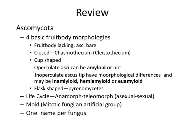Slide126