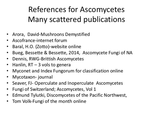 Slide127