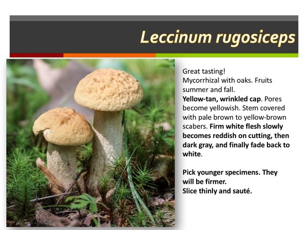 Slide127